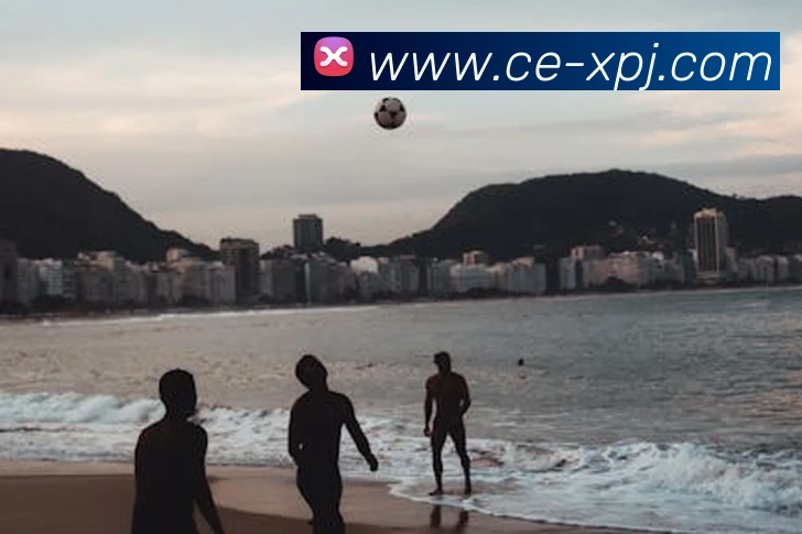 澳门新葡京娱乐平台生态图